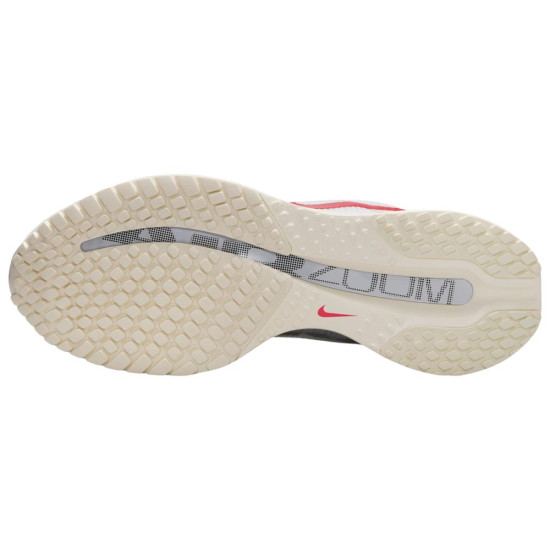 Nike Pegasus Premium Road W Nike Pegasus Premium Road W
